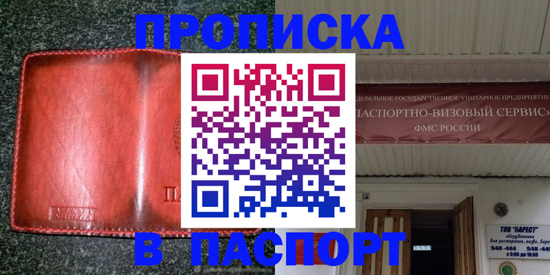 временная прописка в Каменке